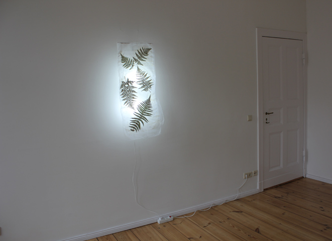 Kirsten Kötter: Farn mit Licht, 2013, Leim, Stoff, Farn, Licht, 100 × 40 cm × 20 cm