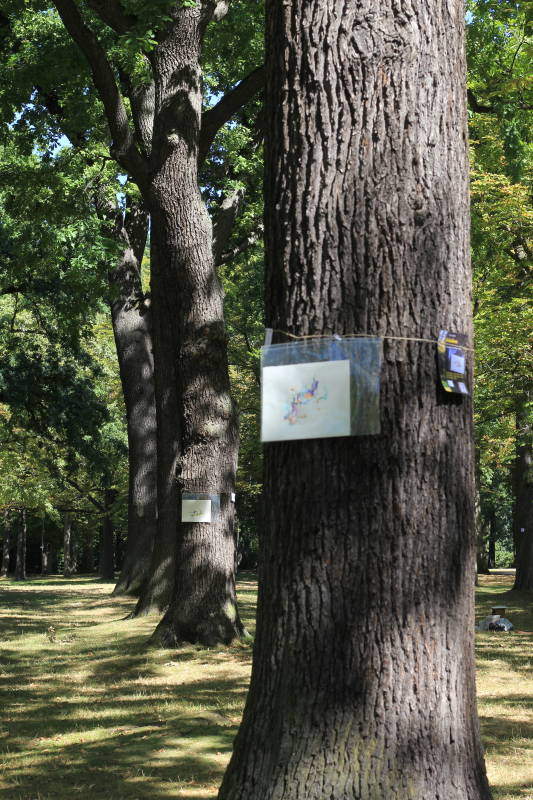 2025-08-18_malathon-chemnitz_01_baum_2795 (Kirsten Kötter)