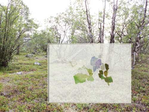 Site-specific Research Nature. Kevo Subarctic Research Institute Utsjoki, Finland, 2016-07-12_69-7474_26-9943_buksalskaidegeahci_dm, watercolour, 17 x 24 cm, photo, digital montage (Kirsten Kötter)