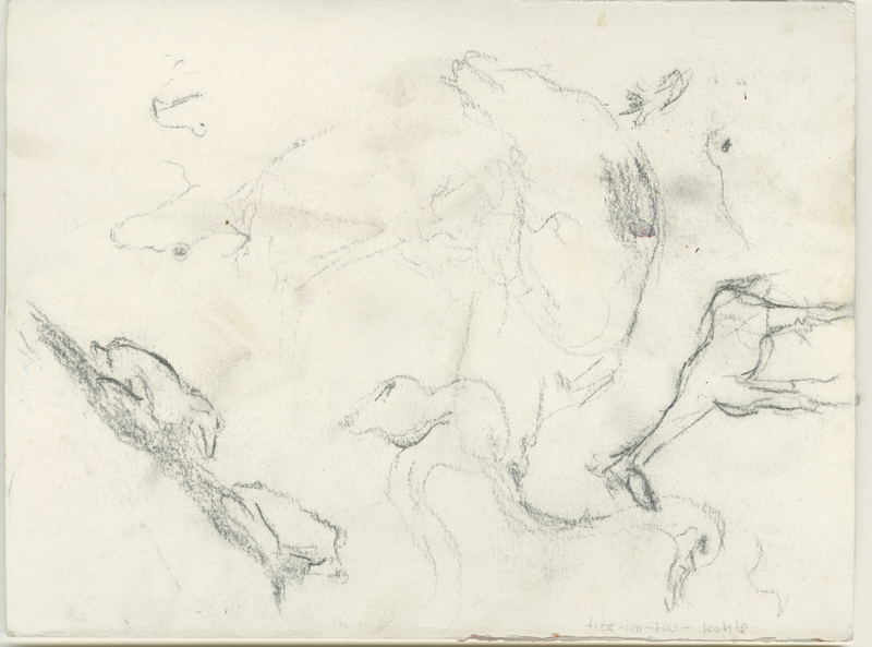 tiere-im-zoo-kohle, ca. 1991, charcoal sketch, 17 × 24 cm (Kirsten Kötter)