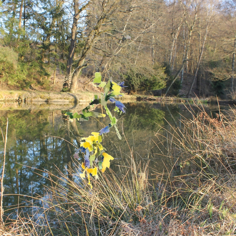 2022-03-22_fischteich_img0909_Protokoll_-03-15_50-50, digital montage, 50 × 50 cm (Kirsten Kötter)