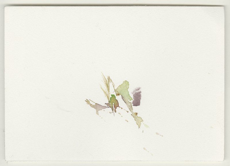 2023-04-15_fischteich_enten-nest, watercolour, 12 × 17 cm (Kirsten Kötter)